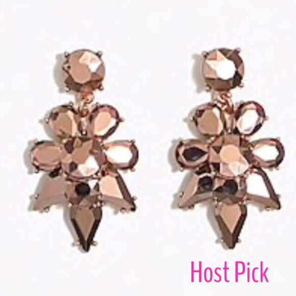 J. Crew Factory Jewelry - HP NEW J Crew Factory opaque statement earrings